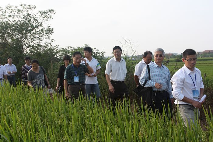 参观天博·(中国)官方网站水稻优质高产栽培技术实验研究与示范基地